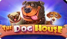 The Dog House — automat w Lucky Lion Casino